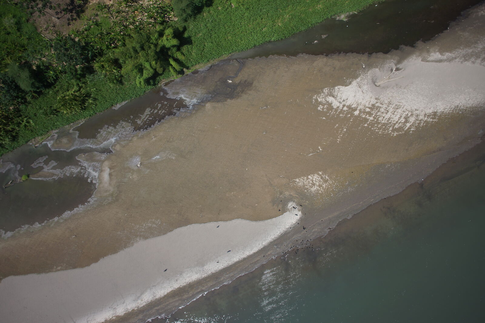 Vista aérea de la desembocadura de un río sobre la costa, con bancos de arena