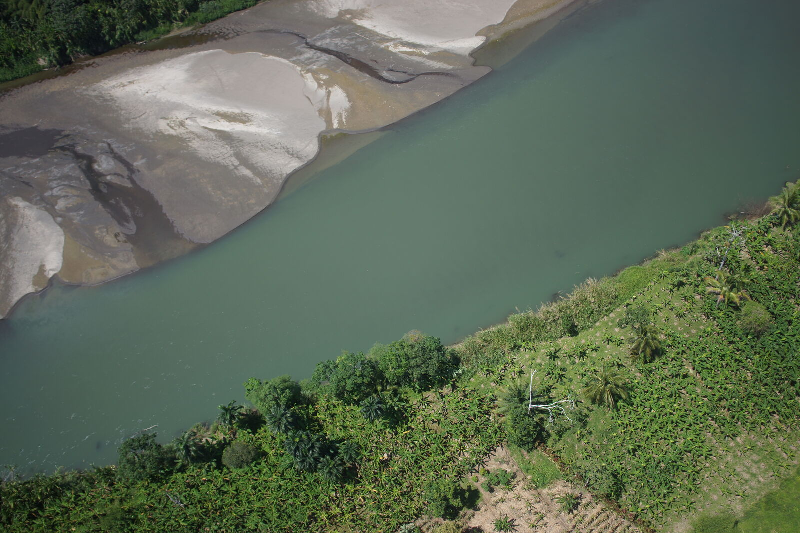 Vista aérea de un cauce fluvial y su vegetación de ribera